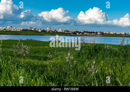 Larnaca (Larnaka) Salt Lake - voir des flamands roses et des nuages blancs. L'herbe verte et Mediterraneean des herbes. Lac bleu profond et bleu ciel Banque D'Images