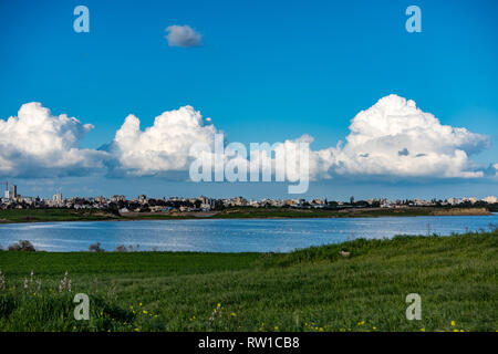 Larnaca (Larnaka) Salt Lake - voir des flamands roses et des nuages blancs. L'herbe verte et Mediterraneean des herbes. Lac bleu profond et bleu ciel Banque D'Images