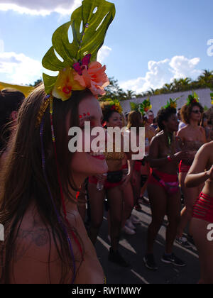 Plaisir pendant le carnaval Banque D'Images