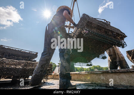 Low angle view of waterman en utilisant le système de poulie pour retirer la cage de l'huître de bateau de travail, Hollywood, Maryland Banque D'Images