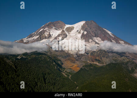 WA15855-00...WASHINGTON - Vue sur le côté ouest du Mont Rainier de Gobblers Knob Lookout à Mount Rainier National Park. Banque D'Images