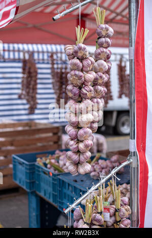 Gros trousseaux d'ail (Allium sativum) suspendue à un vendeur de tente à l'Bronisze - Marché de gros de l'un des plus grands fruits et légumes Banque D'Images