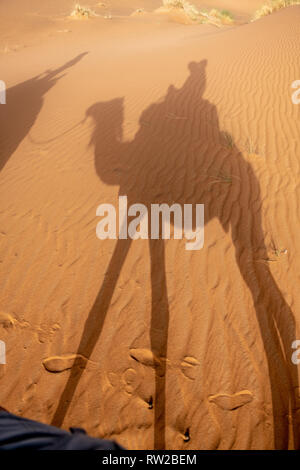 L'ombre des cavaliers camelback étendit à travers les dunes de sable, Merzouga, Maroc Sahara - dunes de l'Erg Chabbi Banque D'Images