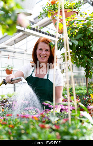 Woman watering flowers dans une pépinière - serre de plantes de couleur à vendre Banque D'Images