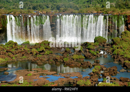 Vue panoramique des chutes d'Iguaçu du côté brésilien, à Foz do Iguaçu, Brésil, Amérique du Sud Banque D'Images