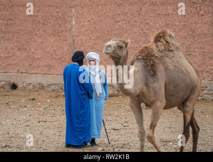 Deux hommes d'observer et d'échanger sur des chameaux (Camelus) en vente à la marché aux chameaux, Guelmim Guelmim Guelmim, province, Maroc. Banque D'Images