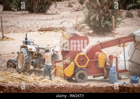 Battage du blé avec une batteuse autonome, Akka, Province de Tata, Maroc, Souss-Massa Banque D'Images