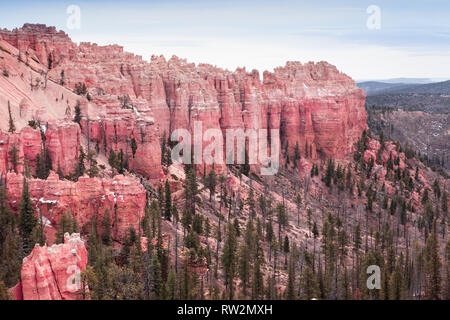 Libre de hoodoo rock formations at Bryce Canyon National Park, rose couleur paysage dans l'Utah, USA Banque D'Images