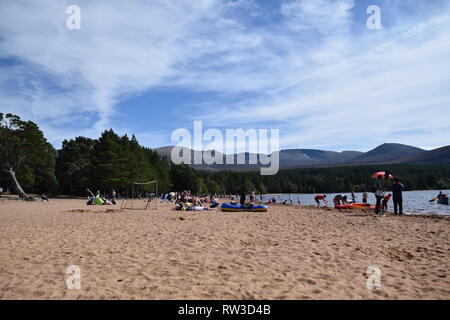 Le Loch Morlich plage en été Banque D'Images