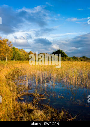 Lough Macnean sur la frontière en automne Cavan Fermanagh Banque D'Images