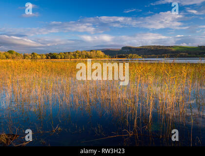 Lough Macnean sur la frontière de Fermanagh Cavan en automne, Comté de Fermanagh, Irlande du Nord Banque D'Images