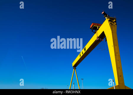 À grues Harland & Wolff de Belfast Banque D'Images