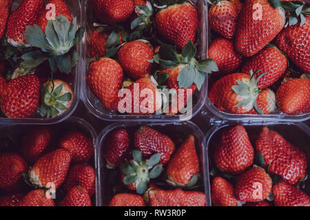 Vue de dessus de fraises fraîches en vente, en portions individuelles dans des boîtes de plastique, en haut d'une table en bois Banque D'Images