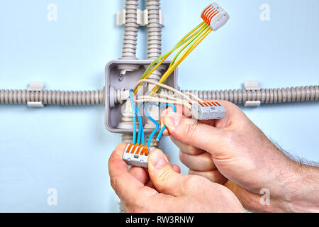 Boîte de jonction électrique en cours d'installation par l'électricien avec l'aide de connecteurs enfichables. Banque D'Images