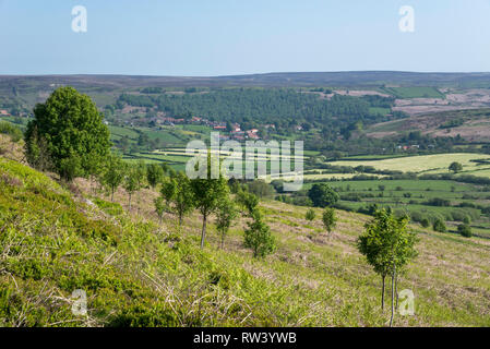 Le village de Castleton et Danby Dale dans le North York Moors national park, Angleterre. Banque D'Images