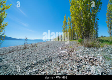 Le lac Stony bord de lac Te Anau sous ciel bleu clair avec de grands arbres remplissant vue panoramique au Sud Ilsand en Nouvelle-Zélande. Banque D'Images