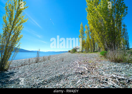 Le lac Stony bord de lac Te Anau sous ciel bleu clair avec de grands arbres remplissant vue panoramique au Sud Ilsand en Nouvelle-Zélande. Banque D'Images