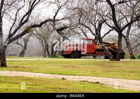 Vintage Truck dans les bois en un jour brumeux au Texas Banque D'Images