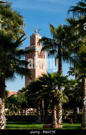 Le célèbre minaret de Koutoubia comme vu par feuilles de palmier dans le parc Lalla Hasna lors d'un matin de printemps (Marrakech, Maroc, Afrique) Banque D'Images