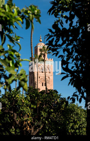 Le célèbre minaret de Koutoubia comme vu par feuilles de palmier dans le parc Lalla Hasna lors d'un matin de printemps (Marrakech, Maroc, Afrique) Banque D'Images