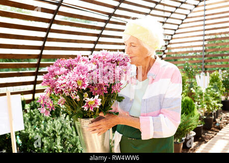 Jardinier Senior Smelling Flowers Banque D'Images