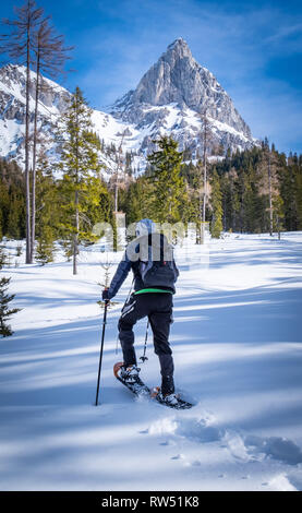 Raquette homme thruogh la forêt sur la montagne enneigée avec plateau Kaiserau Admonter Kalbling sous le soleil d'hiver dans la région de Styrie, Autriche Banque D'Images