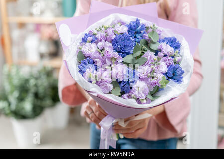 Bouquets de jacinthes bleues et matthiola de couleur lilas à main femme. Les fleurs de printemps à partir de la Dutch jardinier. Concept d'un fleuriste dans un magasin de fleur Banque D'Images