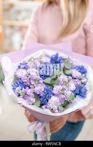 Bouquets de jacinthes bleues et matthiola de couleur lilas à main femme. Les fleurs de printemps à partir de la Dutch jardinier. Concept d'un fleuriste dans un magasin de fleur Banque D'Images