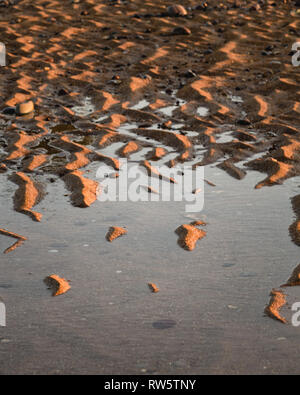 Des crêtes de sable éclairée par le côté à l'aube sur la côte jurassique près de Budleigh Salterton, l'est du Devon, Angleterre du Sud-Ouest, Royaume-Uni. Banque D'Images