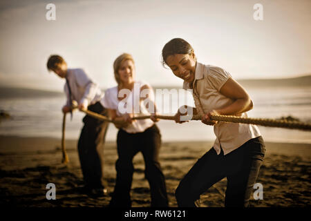 Families playing tug-o-war on beach Banque D'Images