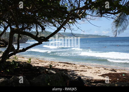 Plage de la Barbade Banque D'Images