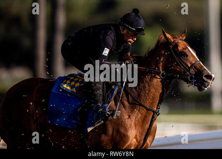 Arcadia, CA, USA. 5e Mar, 2019. Mars 03, 2019 : This Is It avec Humberto Gomez galops à Santa Anita, 03 mars 2019 à Arcadia, Californie. Evers/Eclipse Sportswire/CSM/Alamy Live News Banque D'Images