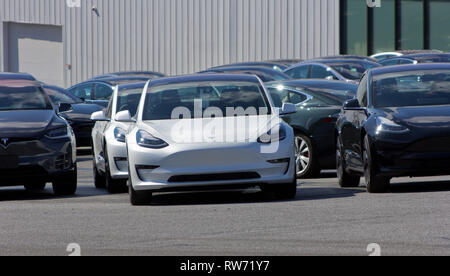 Owings Mills, Maryland, USA. 4 mars, 2019. Après la semaine dernière's news par Elon Musk PDG que la plupart des magasins de Tesla serait fermé comme la société de l'automobile électrique passé uniquement à la vente en ligne, des actions s'est terminé lundi à leur prix le plus bas depuis le 22 octobre, après avoir diminué d'environ 11 pour cent depuis les nouvelles, et l'élimination de près de 6 milliards de dollars de valeur de marché. Montré a plusieurs voitures au Tesla store à Owings Mills, Maryland, l'un avec une étiquette visible sur le rétroviseur. Il n'a pas encore été indiqué que des 378 sites à travers le monde sont prévues pour la clôture. Kay Howell/Alamy Live News Banque D'Images