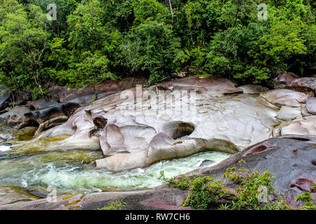 Formation de roche géant dans la forêt tropicale de Daintree appelé le voyage d'aventure de blocs, de l'Australie Banque D'Images