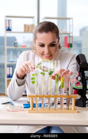 Chimiste chercheur biotechnologie femelle dans le laboratoire Banque D'Images