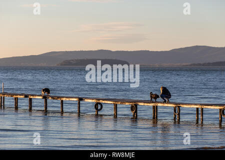 Deux chiens et une femme sur un quai overa un lac, avec de l'heure d'or light Banque D'Images