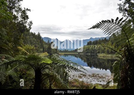 Lake Matheson en Nouvelle-Zélande près de Fox Glacier par srrounded, forêt et nature farns Banque D'Images