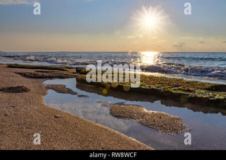Plage au coucher du soleil, à marée basse. Les pierres sont recouvertes d'algues humides vert avec des piscines d'eau entre eux. Banque D'Images