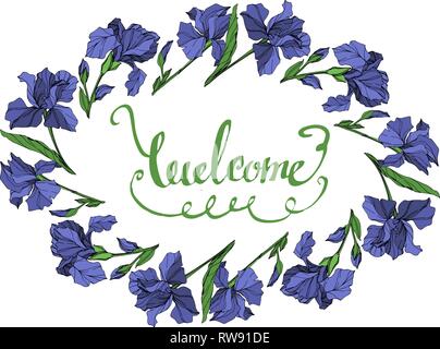 Vector floral fleur botanique iris bleu sur fond blanc. Lame de ressort sauvages isolés de fleurs sauvages. L'encre bleu et vert l'art gravé cadre frontière orna Illustration de Vecteur