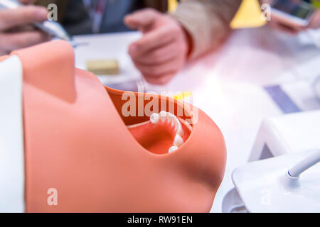 Mannequin pour les étudiants en formation dentiste facultés dentaires d'écoles de médecine et les universités Banque D'Images