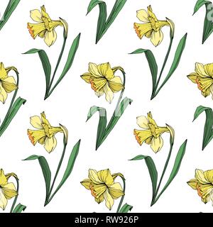 Vector floral fleur jaune Narcisse botanique. Lame de ressort sauvages isolés de fleurs sauvages. L'art d'encre gravée motif de fond transparent. Papier peint tissu Illustration de Vecteur