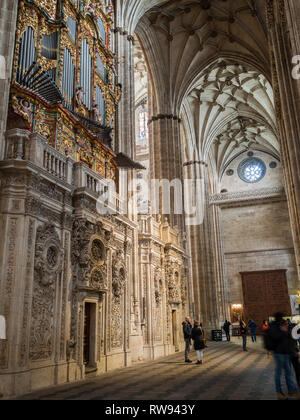 Orgue à pipe et murs sculptés en pierre de l'allée de la Nouvelle cathédrale de Salamanque Banque D'Images