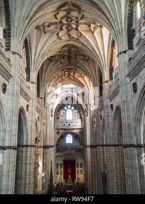 La Cathédrale de Salamanque nef principale vu de dessus Banque D'Images