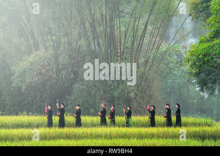 Les filles de la minorité ethnique Tay est titulaire d'un instrument de musique dans les rizières. Tay vivre pendant longtemps dans le Trung Khanh, Cao Bang, Vietnam Banque D'Images