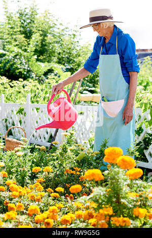 Senior Woman Watering Flowers Banque D'Images