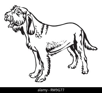 Contour décoratif portrait monochrome de l'article profil de Spinone Italiano Chien, vector illustration en couleur noir isolé sur fond blanc Illustration de Vecteur