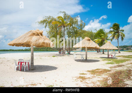 Au bar de la plage Pontal da Ilha beach, à la pointe nord de Itamaraca île (Pernambuco, Brésil) Banque D'Images