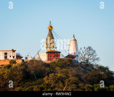 Swayambhunath Stupa appelé aussi temple de singe à Katmandou, au Népal. Banque D'Images