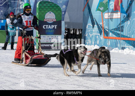 Compétitions Enfants Kamchatka Traîneau Course Dyulin la Béringie. L'exécution de traîneau à chien husky jeune musher par stadium. Banque D'Images