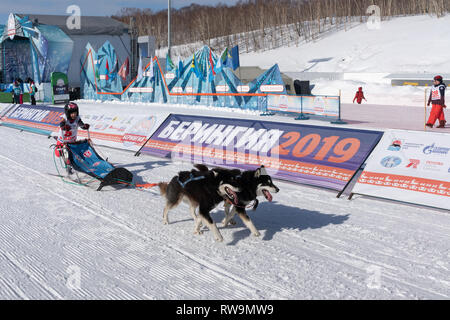 Les enfants du Kamtchatka Course de luge de chien Concours Dyulin la Béringie. L'exécution de traîneau à chien husky jeune musher par stadium Banque D'Images